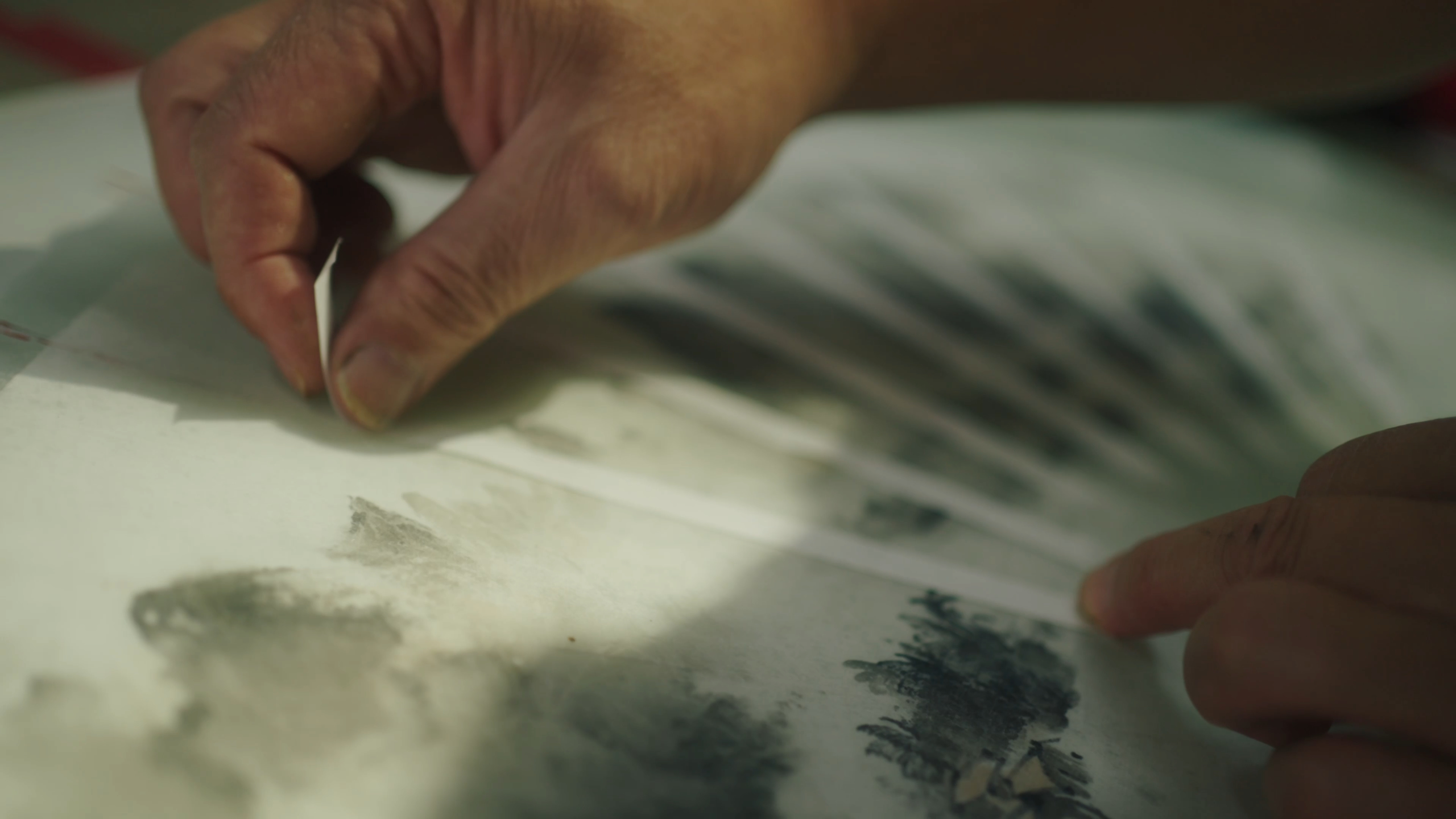 Banyan Tree Yangshuo-Fan Painting